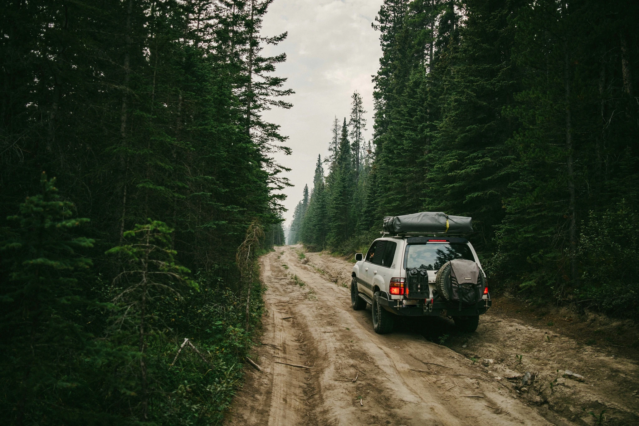 The Travelling Carnivores on the road
