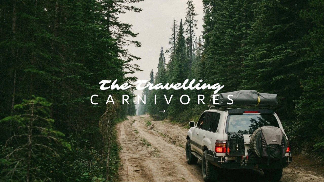 Overlanding and carnivore travel
